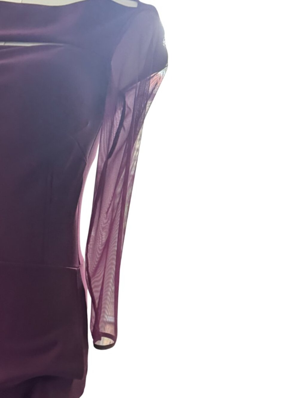 Chiara Boni La Petite Rob Kate Illusion Gown in Burgundy Size 2 - Picture 4 of 8